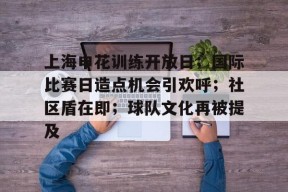 爱游戏下载-上海申花训练开放日；国际比赛日造点机会引欢呼；社区盾在即；球队文化再被提及的简单介绍
